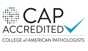 Logo Snip